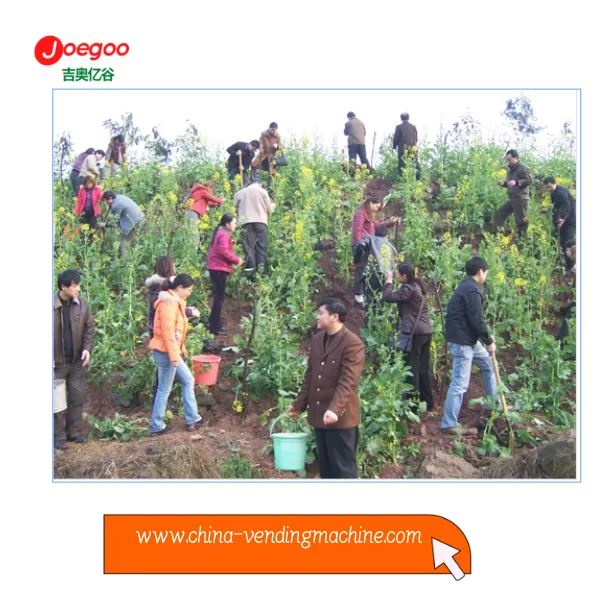 Departemen Ekspor Perusahaan Jeogoo Menyelenggarakan Kegiatan Sukarela Untuk ...